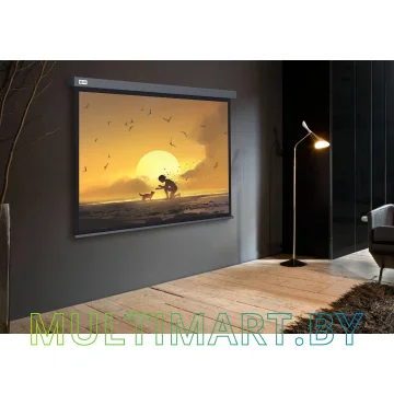 Проекционный экран CACTUS Wallscreen CS-PSW-124X221-SG картинка 2
